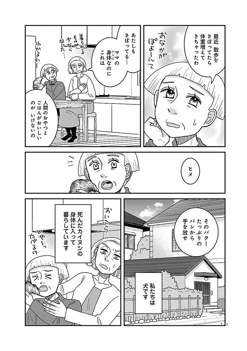 『ドッグ・イン・マダム』