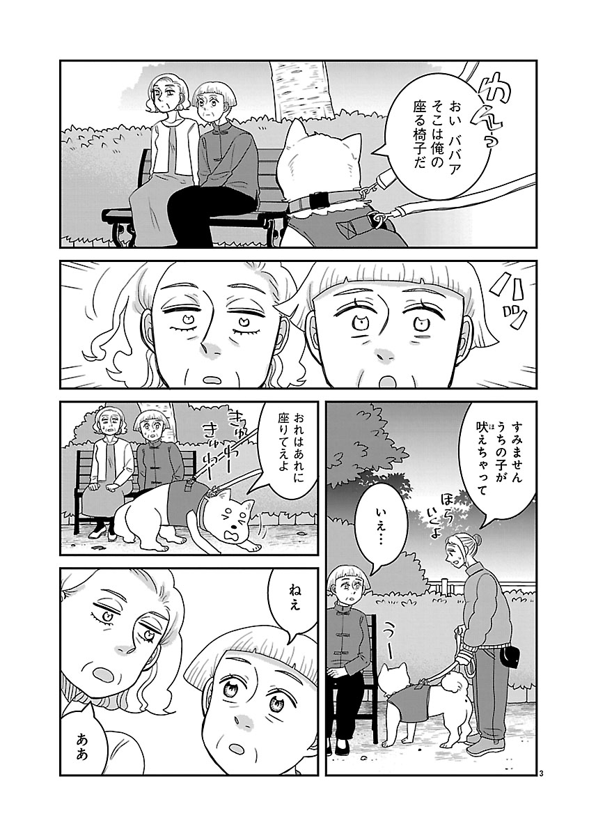 『ドッグ・イン・マダム』