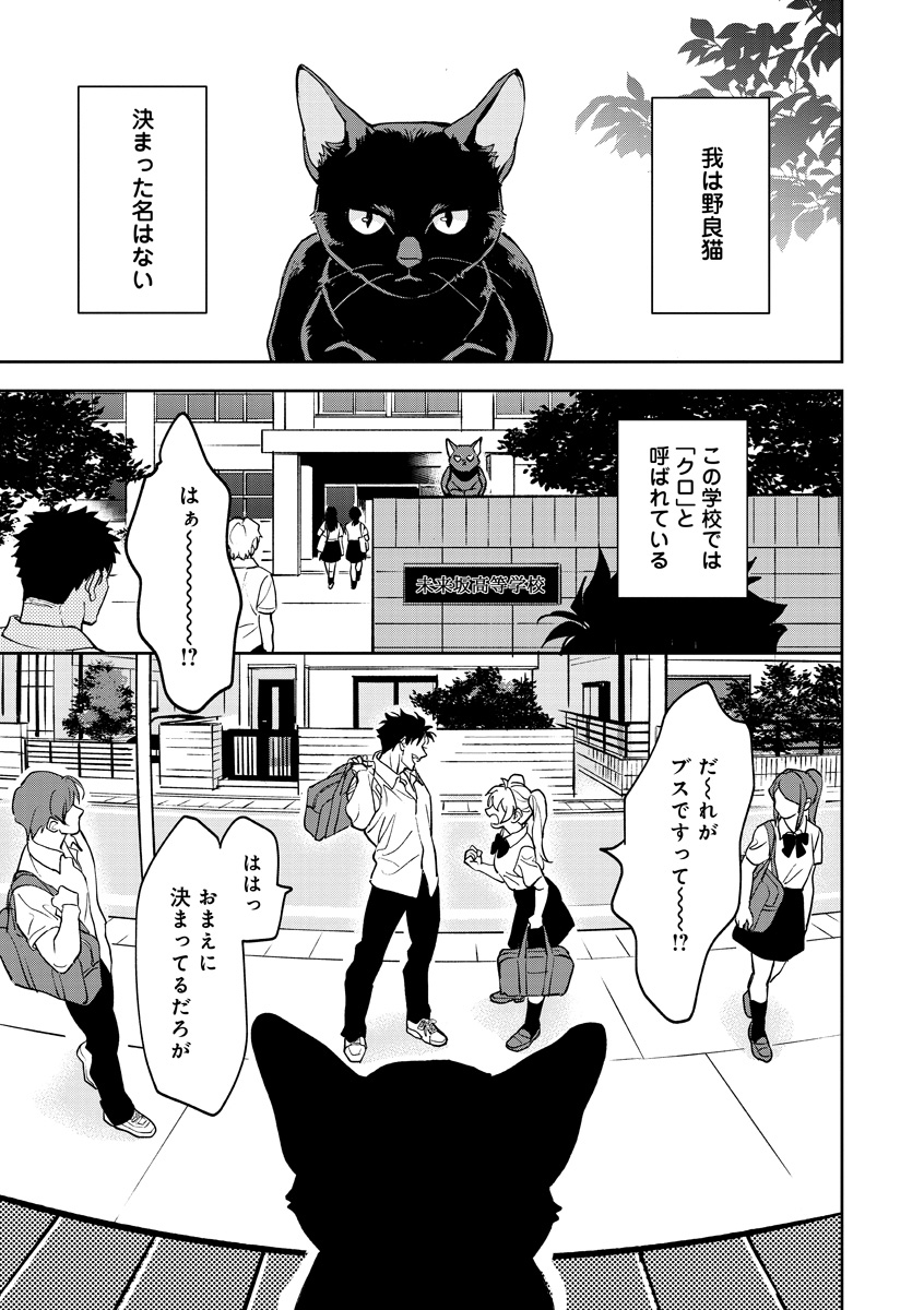 甘辛「猫は奴らを知っている」