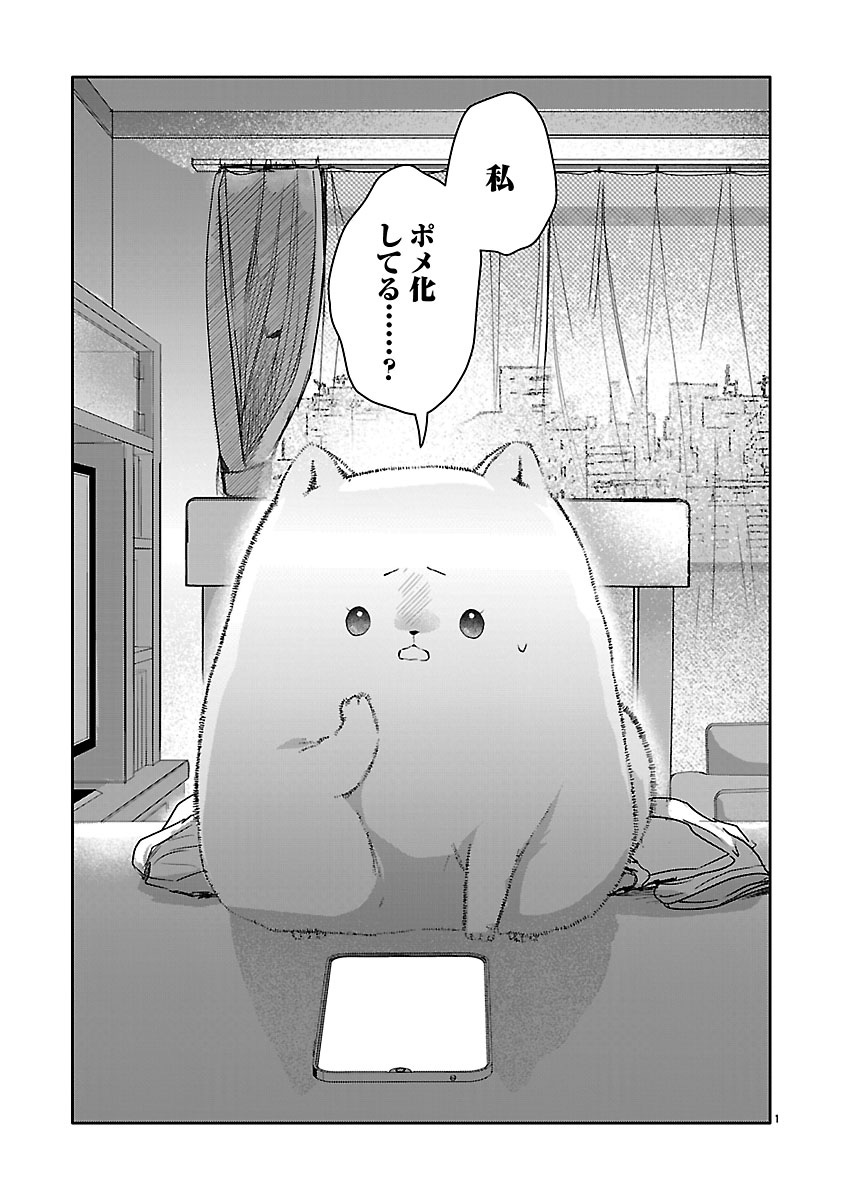 『おつかれポメラニアン』