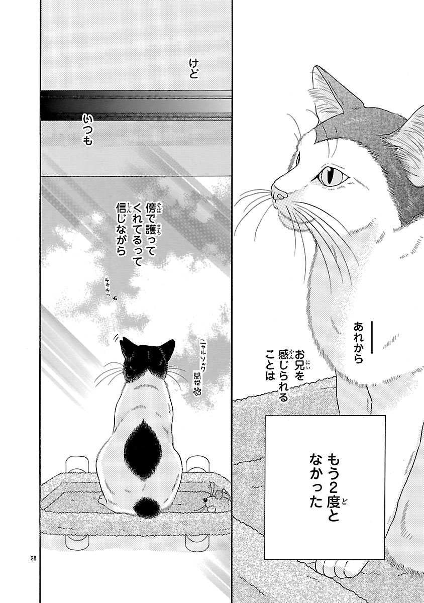 『陽だまりシェアハウス』