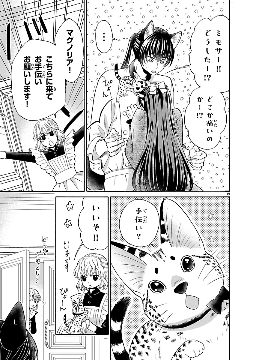 『お嬢様、お食事の時間です。~冷徹令嬢と三ツ星獣人シェフのおいしい幸せ計画~』