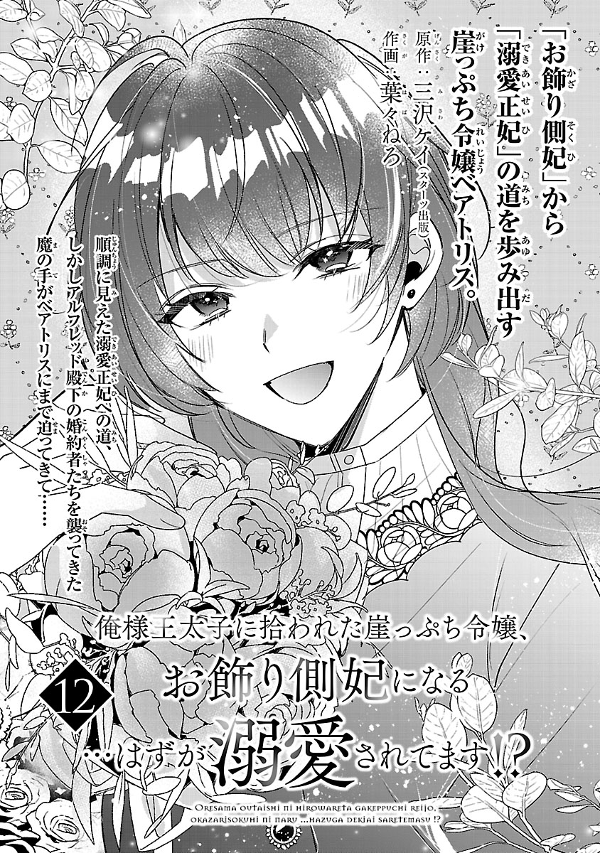 『俺様王太子に拾われた崖っぷち令嬢、お飾り側妃になる…はずが溺愛されてます!?』