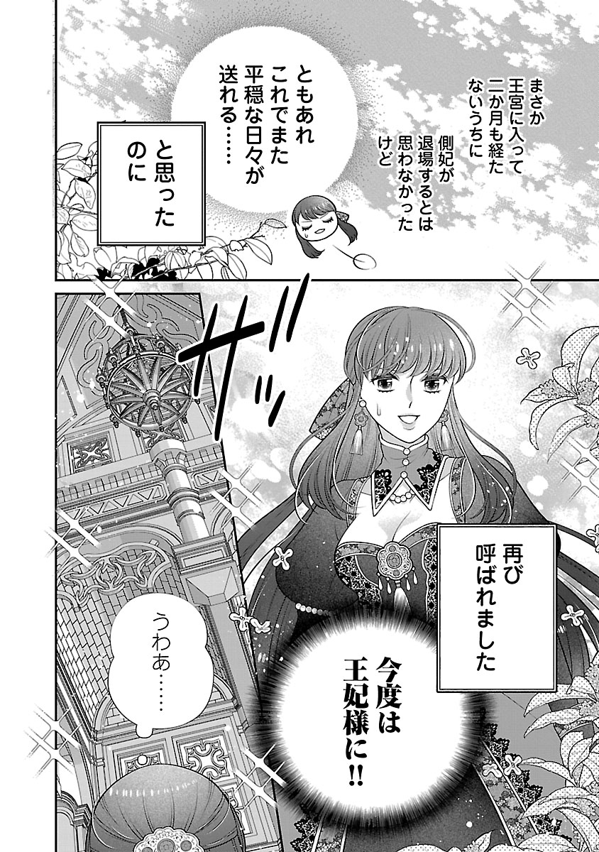 『側妃になったけど、別に愛さなくていいですよ?』