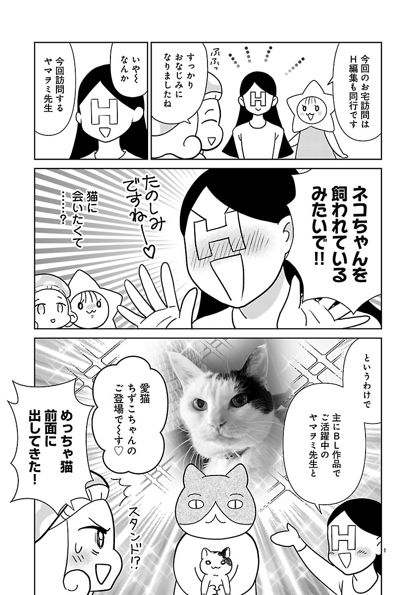 『突撃!オ宅訪問~整理収納アドバイザー・阿部川キネコのオタクのためのお片づけアドバイス~』