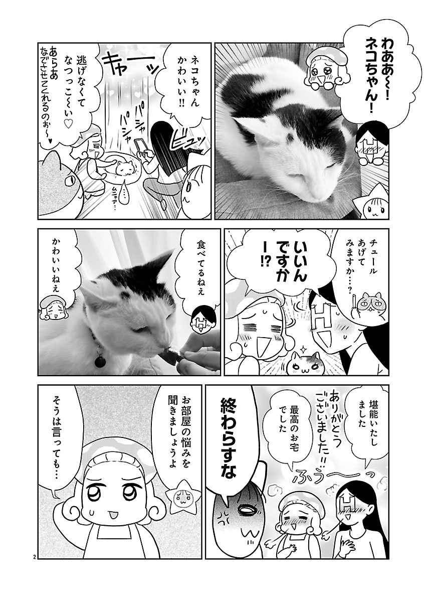 『突撃!オ宅訪問~整理収納アドバイザー・阿部川キネコのオタクのためのお片づけアドバイス~』