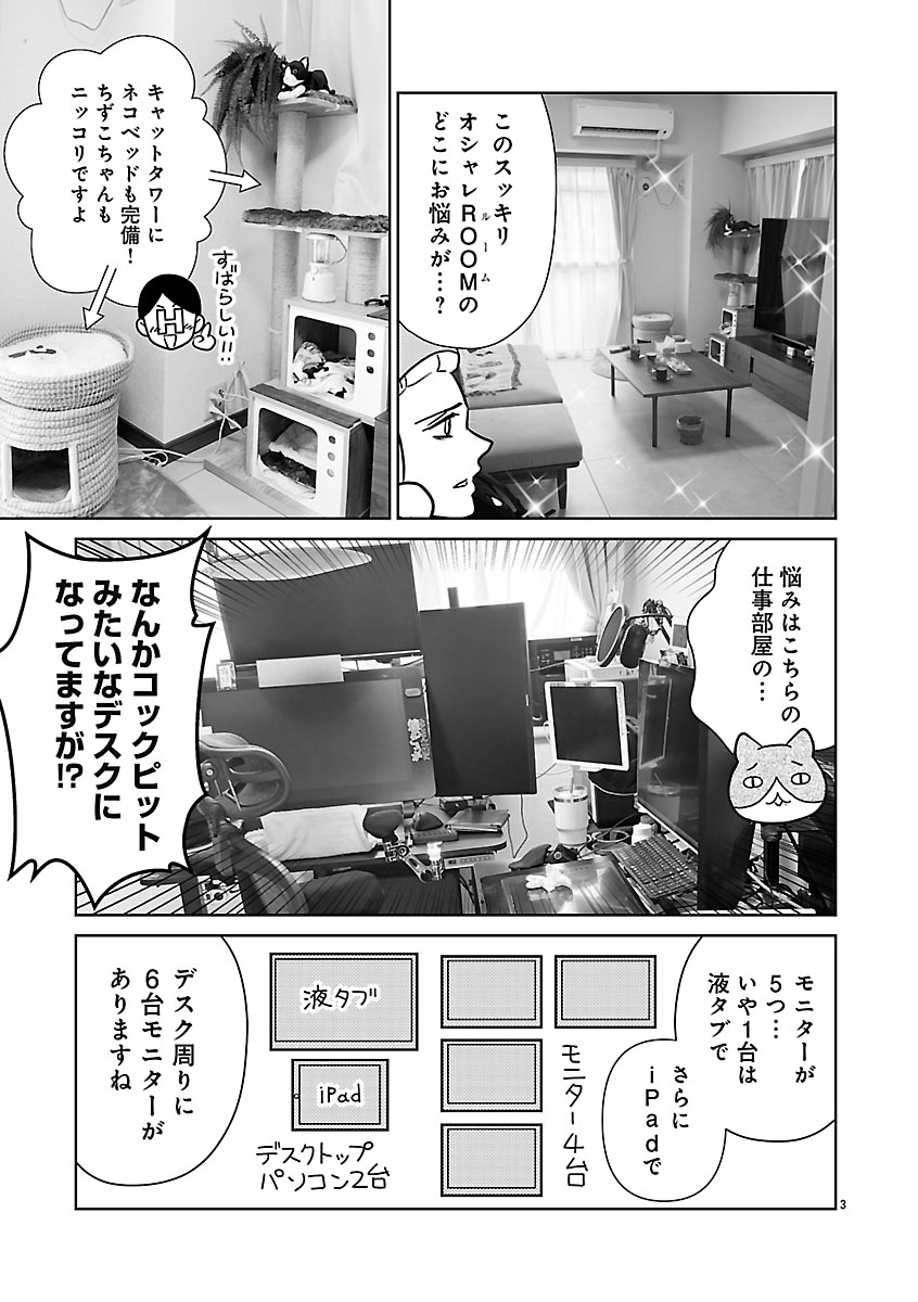 『突撃!オ宅訪問~整理収納アドバイザー・阿部川キネコのオタクのためのお片づけアドバイス~』