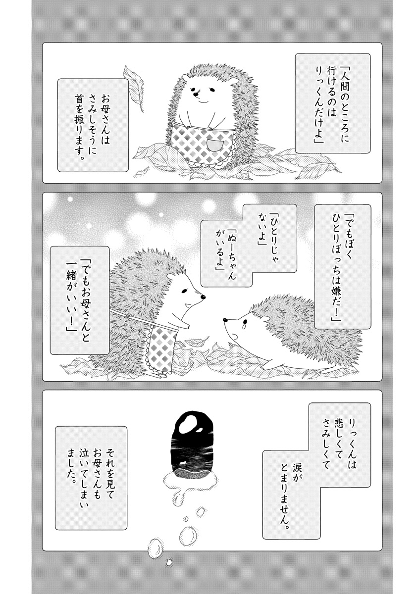 『雪、ときどき自由』