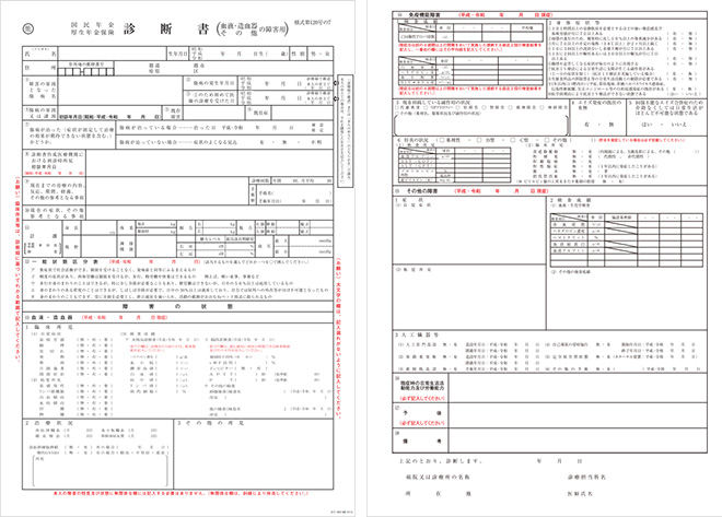 出典：日本年金機構ホームページ 血液・造血器・その他の障害の診断書