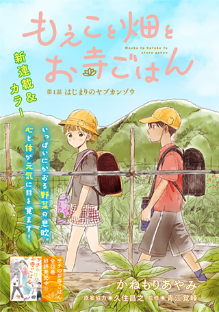 『「もえこと畑とお寺ごはん」がもっと楽しく! 萌飯コラム』青江覚峰